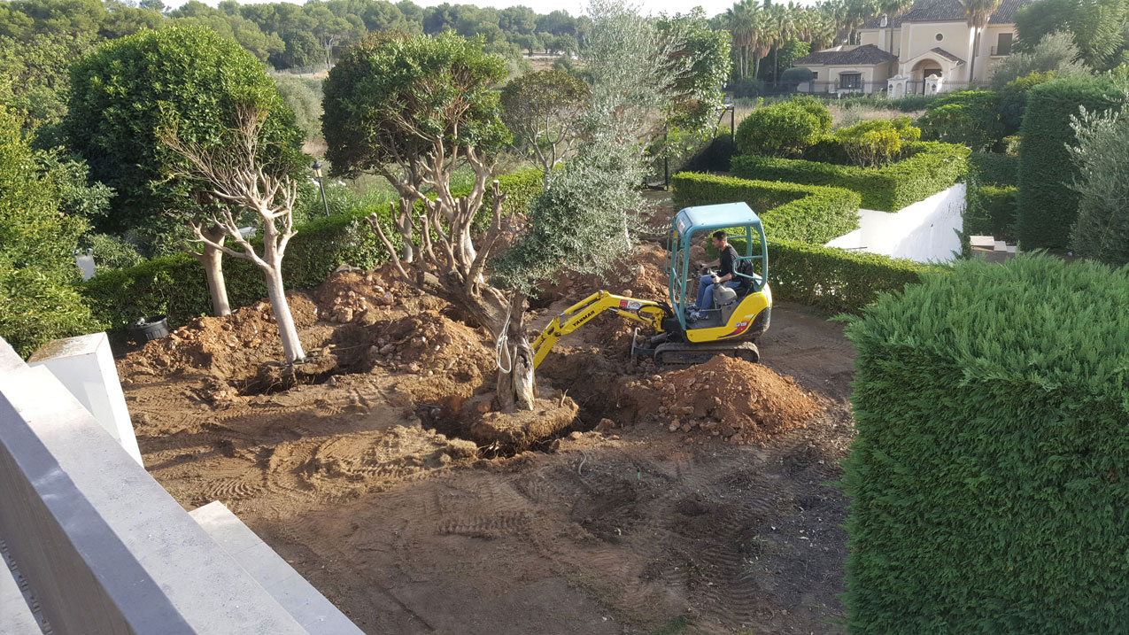 Gardens construction